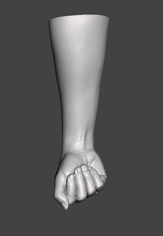 Forearm Doctor Model